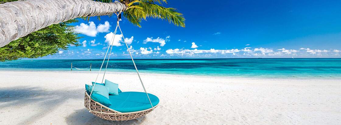 Een strand met een schommel aan een palmboom en een felblauwe zee
