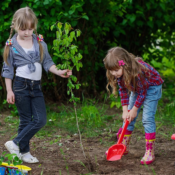 Family planting a tree