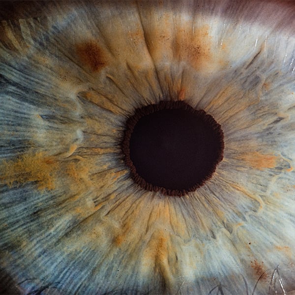 Close up van een oog