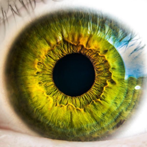test ochi iris