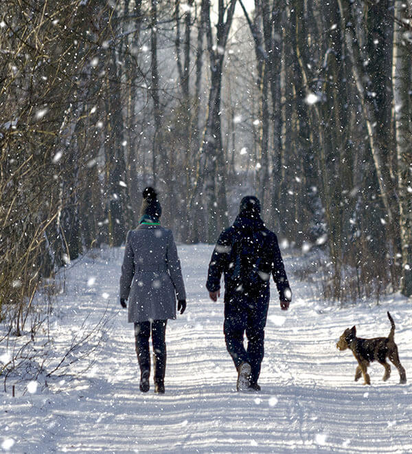 Couple walking a doc in the snow