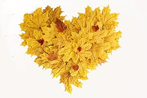 autumn-heart