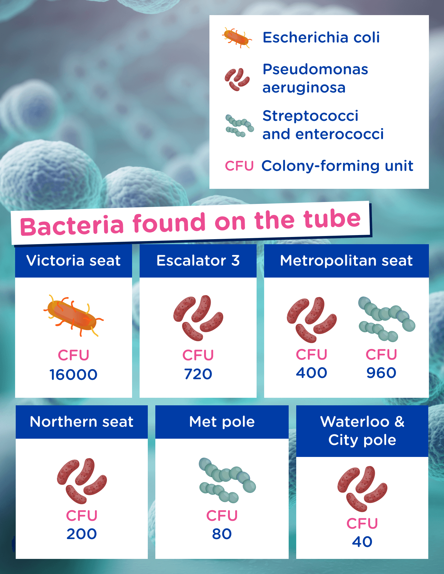 Infographic detailing bacteria found on tube